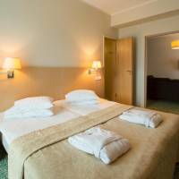 Superior Suite with Sauna