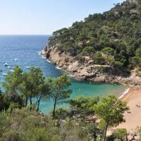 One-Bedroom Apartment with Sea View (2 Adults + 2 Children)