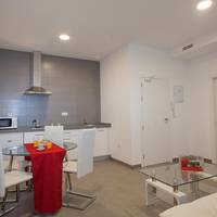 One-Bedroom Apartment (2-4 Adults) 