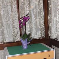 Standard Single Room with Shared Bathroom with Patio