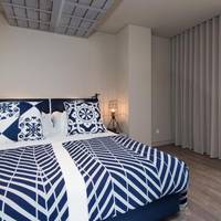 One-Bedroom Suite with Terrace