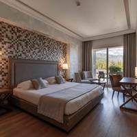 Superior Double or Twin Room with Partial Lake View