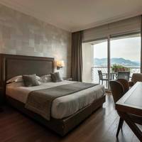 Deluxe Double or Twin Room with Lake View