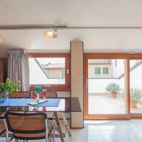 Studio with Terrace