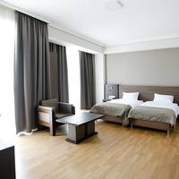 Large Double or Twin Room