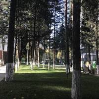 Апартаменты