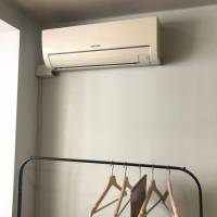 Bunk Bed in Mixed Dormitory Room