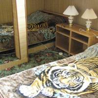 Budget Twin Room