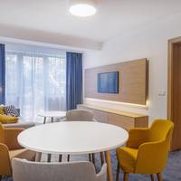 Executive King Suite with Sofa Bed