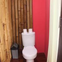 Apartment Bamboo