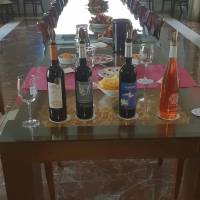 Double Room with Wine Cellar Package
