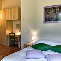 Double or Twin Room with Garden View