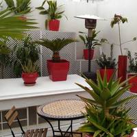 Double Room with Patio