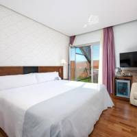 Junior Suite with Terrace