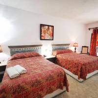 Premium Single Room