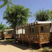 Mobile Home