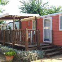 Mobile Home