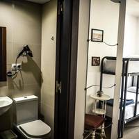 Bed in 4-Bed Mixed Dormitory Room