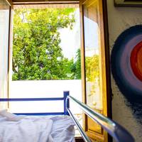 Bed in 6-Bed Mixed Dormitory Room