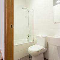 Three-Bedroom Apartment (Laraña 5.3)