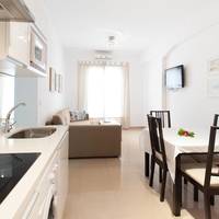 Apartment with Terrace (Laraña 6.3)