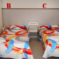 Single Bed in 4-Bed Mixed Dormitory Room