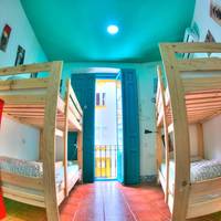 Bed in 4-Bed Mixed Dormitory Room