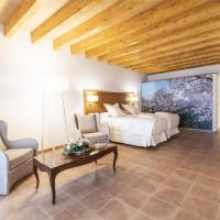 Junior Suite with Terrace - Spa Access