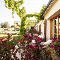 Deluxe Double or Twin Room with Pool Access