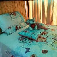 Single Bed in Male Dormitory Room