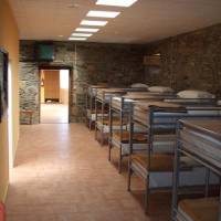 Single Bed in Mixed Dormitory Room