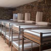 Bed in 14-Bed Mixed Dormitory Room