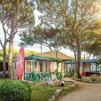 Standard Bungalow