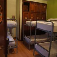 Single Bed in 6-Bed Dormitory Room