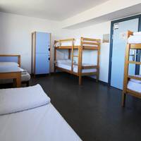 Bed in 6-Bed Dormitory Room
