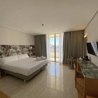 Superior Double or Twin Room with Terrace (1 Adult)