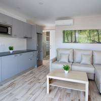 1 Bedroom Deluxe Resort 