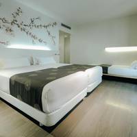 Standard Double or Twin Room with Extra bed (2 Adults + 1 Child)