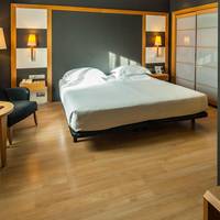 Large Double or Twin Room