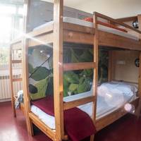 Bed in 4-Bed Mixed Dormitory Room