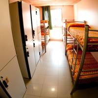 Bed in 8-Bed Dormitory Room