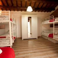 Bed in 6-Bed Mixed Dormitory Room