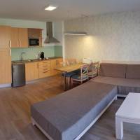 One-Bedroom Apartment with Balcony
