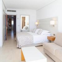 Suite (1 adulto + 1 niño)