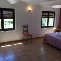 Apartment with Garden View