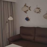 Family Studio