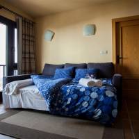 One-Bedroom Apartment (4 Adults)