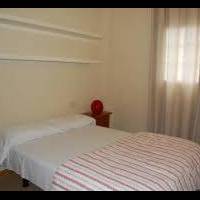 Standard One-Bedroom Apartment