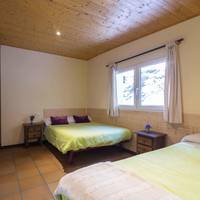 Double Room (2 Adults + 1 Child )