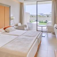 Twin Room with Terrace